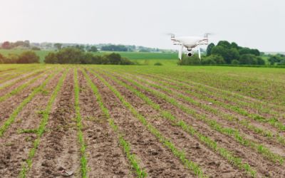 O Que a Agricultura Pode Aprender com a Indústria de Precisão